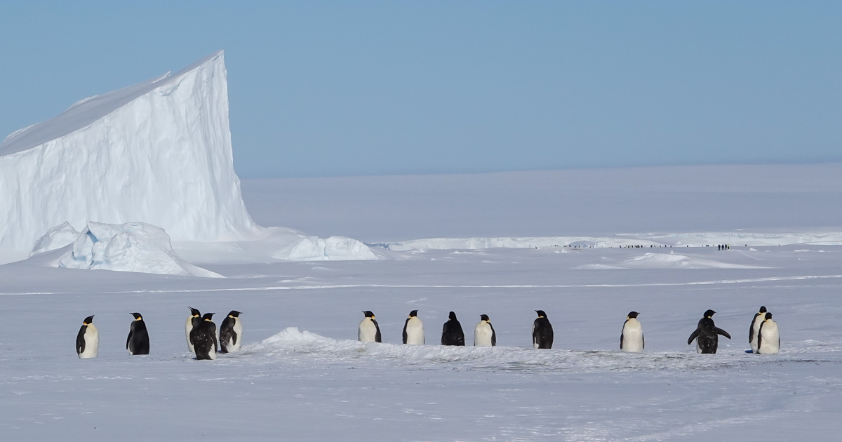 HANSEATIC inspiration: Halbumrundung der Antarktis 32 Tage