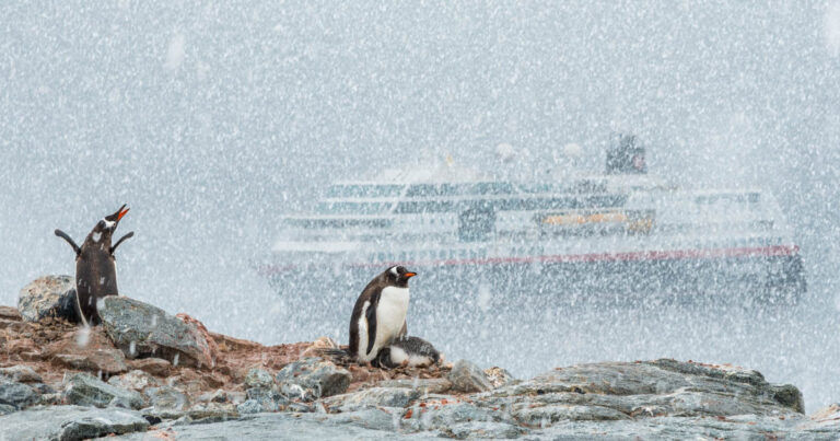 Antarktis Expeditionsschiff MS Maud von Hurtigruten