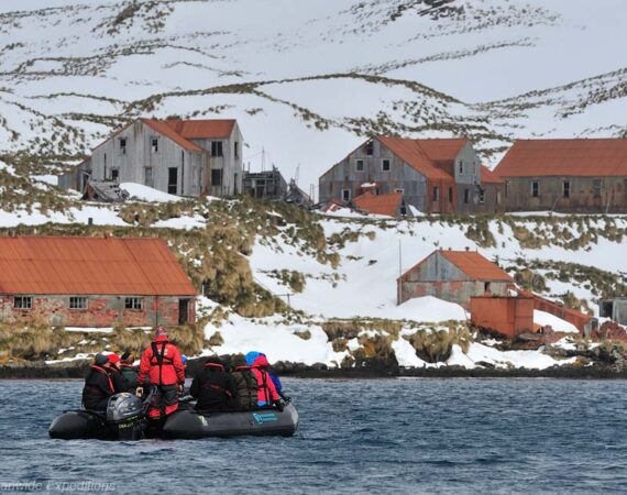 21 Tage Falkland-Inseln, Südgeorgien & Antarktische Halbinsel im Frühling Plancius © Martin van Lokven Oceanwide Expeditions