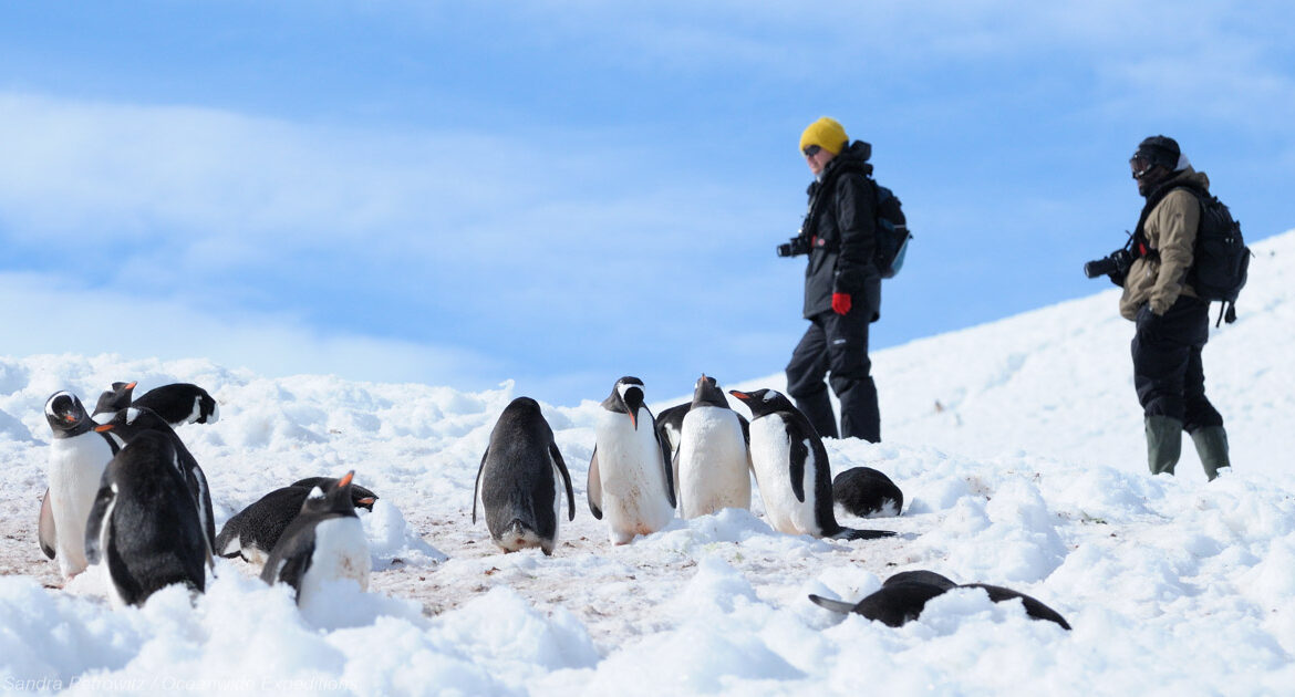 Antarktis Entdeckungs- und Lernreise MS Ortelius © Sandra Petrowitz Oceanwide Expeditions