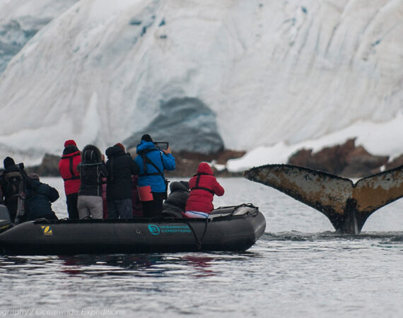 Jenseits des Polarkreises Wilkins-Schelfeis Aurora Australis © Morten Skovgaard Photography Oceanwide Expeditions