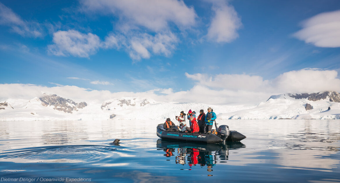 Silvester in der Antarktis mit Falkland und Südgeorgien MS Hondius © Dietmar Denger Oceanwide Expeditions