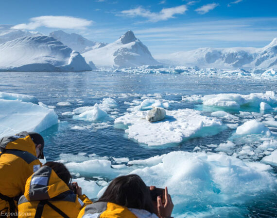 antarktis-reisen-expeditionen-beratung-arcticdesire