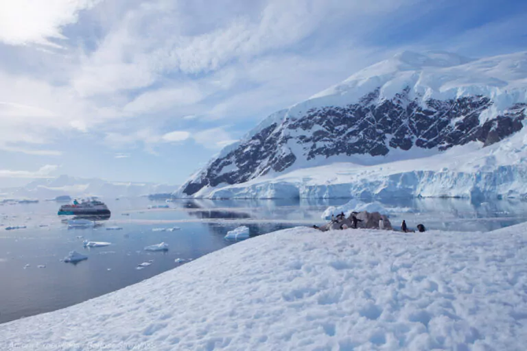 Schiff Sylvia Earle in der Antarktis mit Pinguinen