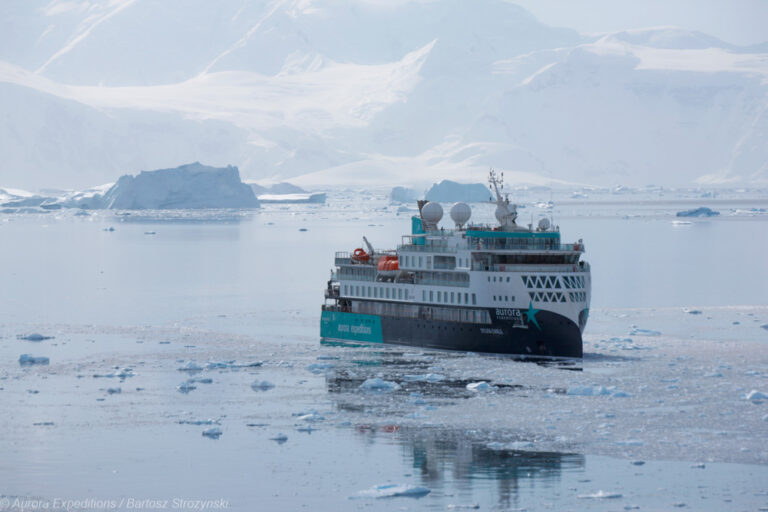 Schiff Sylvia Earle in der Antarktis mit Eisbergen und Bergen im Hintergrund.