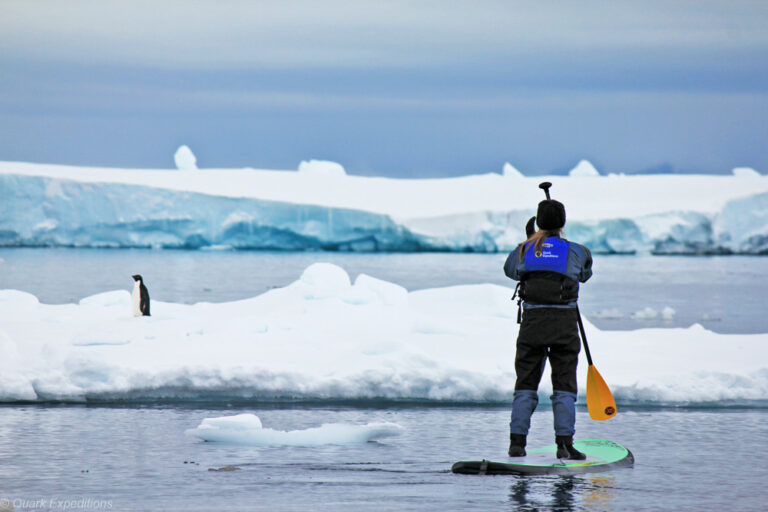 Stand Up Paddleboarder neben einer Eisscholle mit einem Pinguin in der Antarktis.