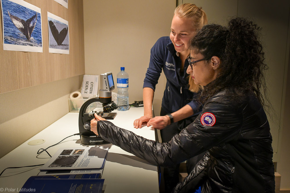 Citizen Science an Bord der Seaventure von Polar Latitudes in der Antarktis Citizen Science an Bord der Seaventure von Polar Latitudes in der Antarktis