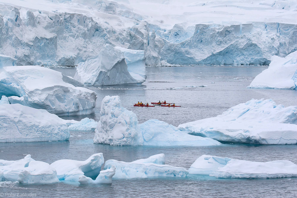 Kajakfahrt in der Antarktis mit einer Reise von Polar Latitudes Kajakfahrt in der Antarktis mit einer Reise von Polar Latitudes