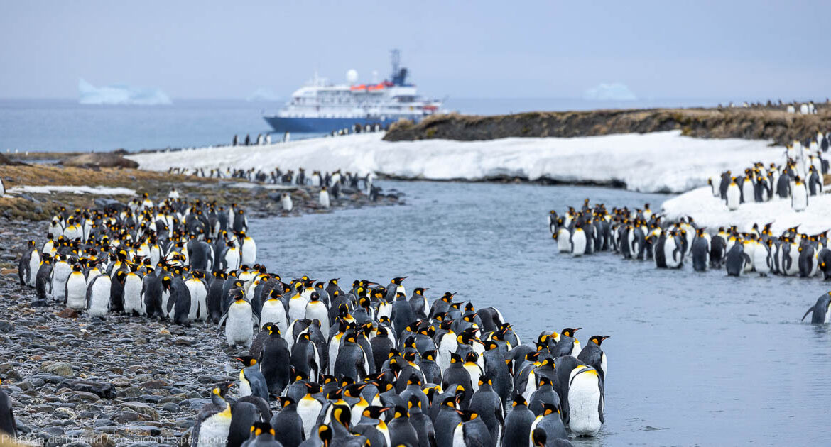 South Georgia Explorer Reise Piet van den Bemd Poseidon Expeditions