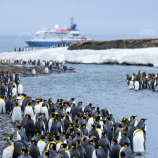 South Georgia Explorer Reise Piet van den Bemd Poseidon Expeditions