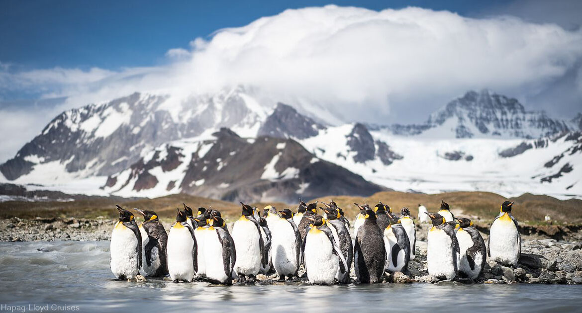 Expedition Antarktis mit Chiles Fjordwelt Hapag-Lloyd Cruises