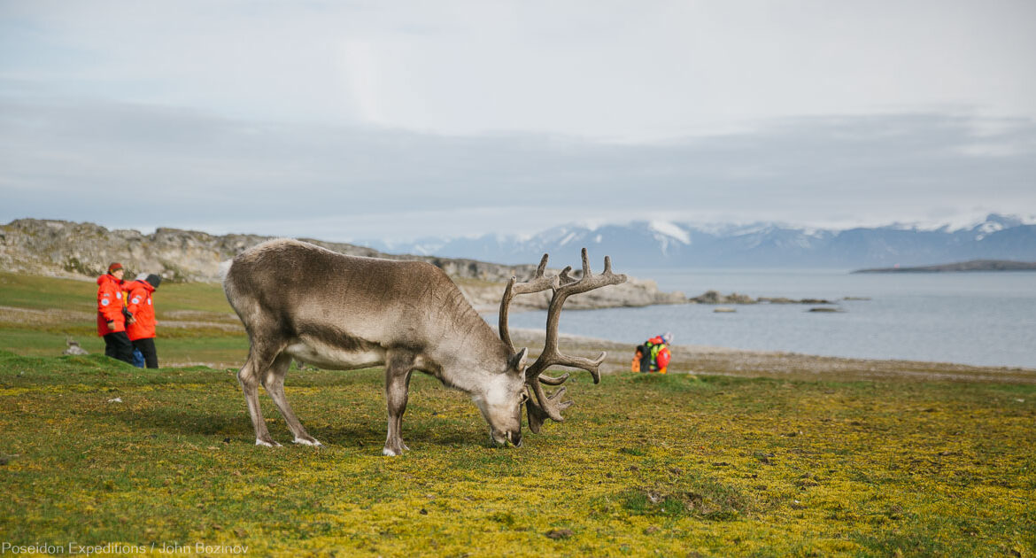 Polarkreis Britische Inseln Jan Mayen Spitzbergen Poseidon Expeditions John Bozinov