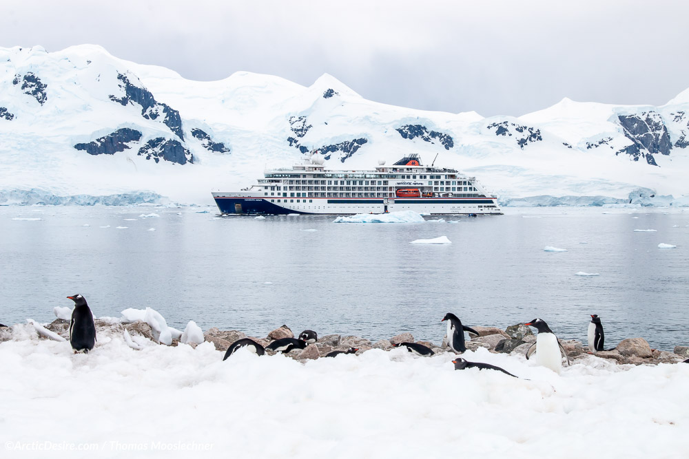 HANSEATIC nature in Neko Harbour in der Antarktis