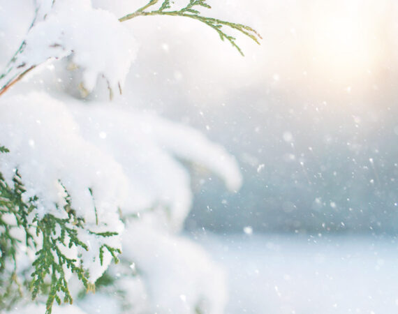 Sankt-Lorenz-Strom im Herzen des Winters