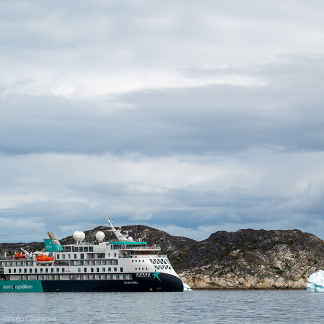 Schiff in Ilulissat in Gronland in der Arktis Aurora Expeditions Renato Graniere