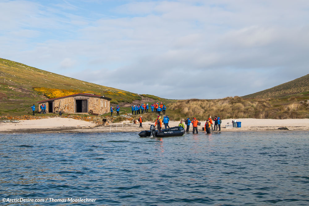 Strand Anlandung auf New Island auf den Falkland Inseln