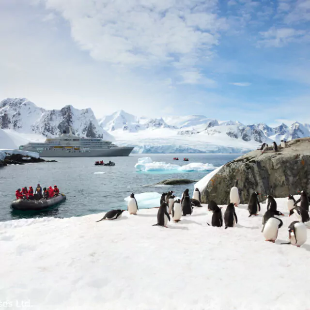 Silversea Cruises Ltd-Silver-Endeavour-Ausflug-Zodiac-Pinguine2