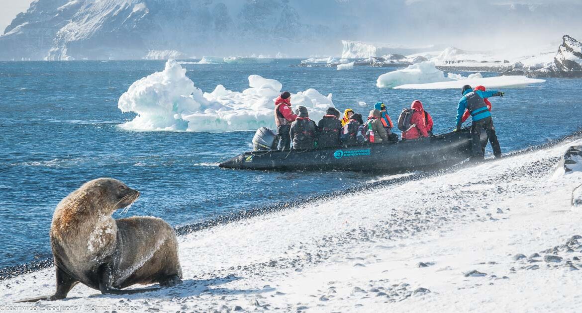 Antarktis Basecamp im Tiefen Suden Oceanwide Expeditions Dietmar Denger