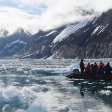 Arktischer Ozean Jan Mayen Eisrand Vogelbeobachtung Oceanwide Expeditions Geert Kroes
